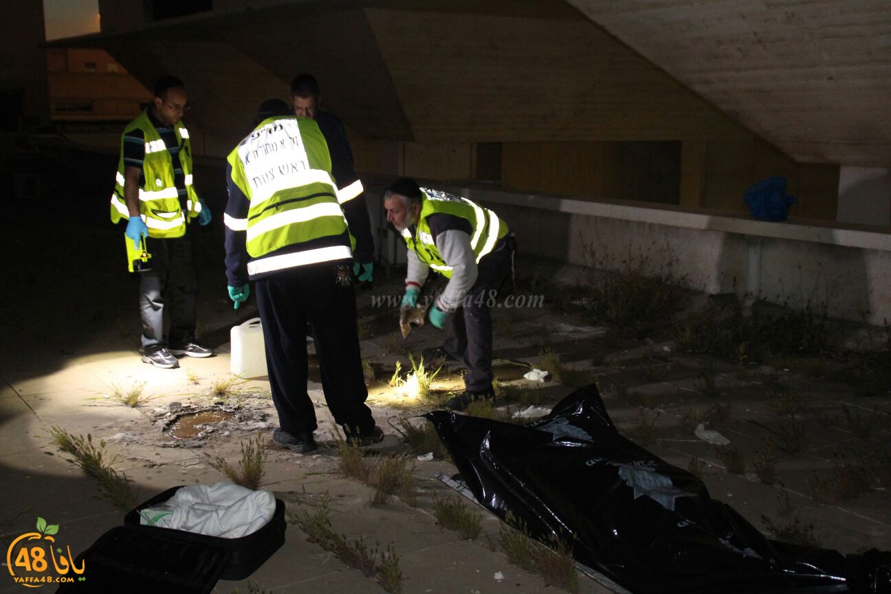 INTE7AR mosena (2).jpg